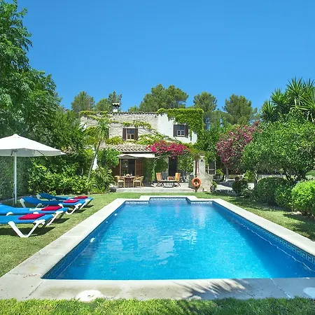 Owl El Campet - Rustic