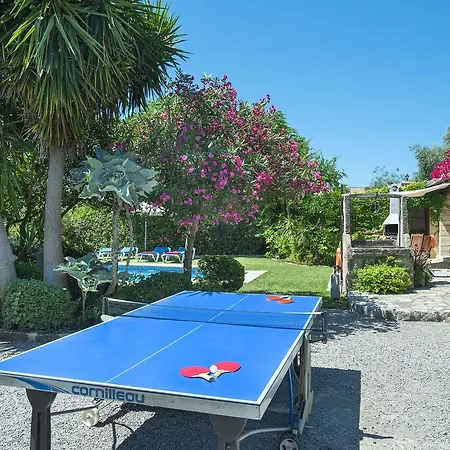 Owl El Campet - Rustic