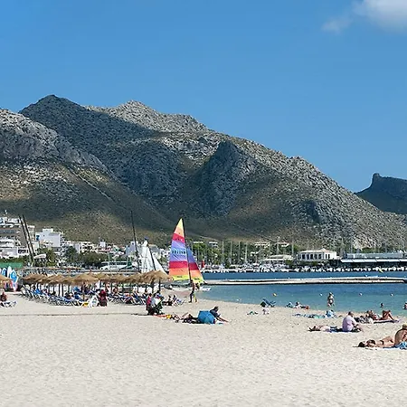 Owl El Campet - Rustic