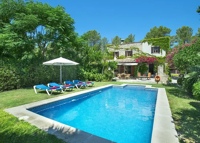 Owl El Campet - Rustic *