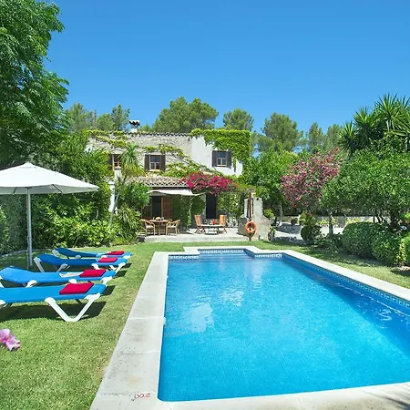 Owl El Campet - Rustic