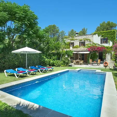 Owl El Campet - Rustic *