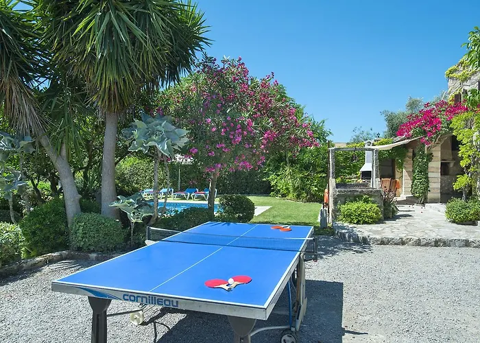 Owl El Campet - Rustic