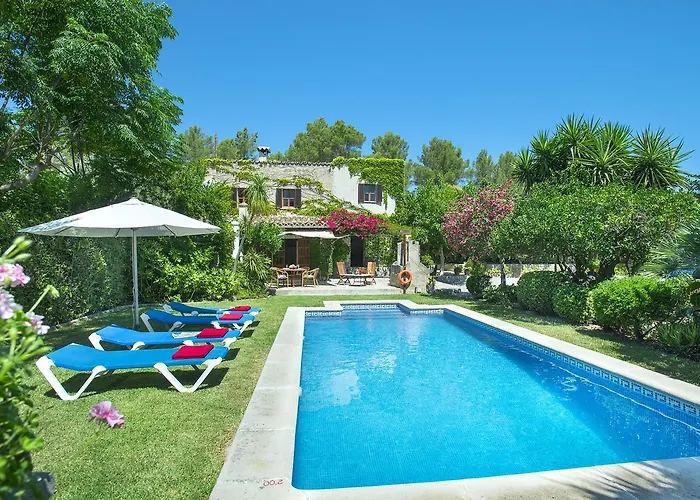 Owl El Campet - Rustic