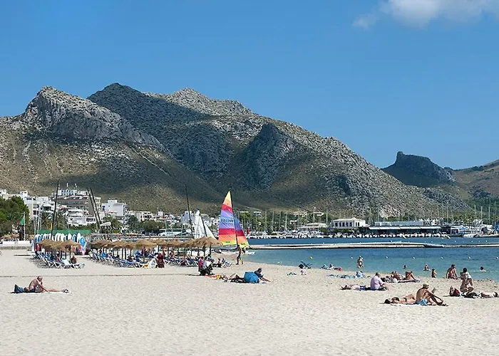 Owl El Campet - Rustic